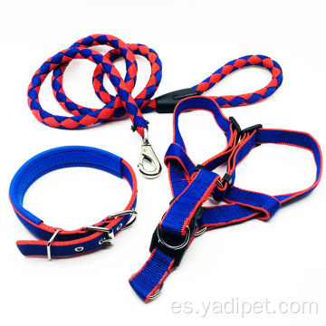 Collar trenzado martingala para perros de servicio